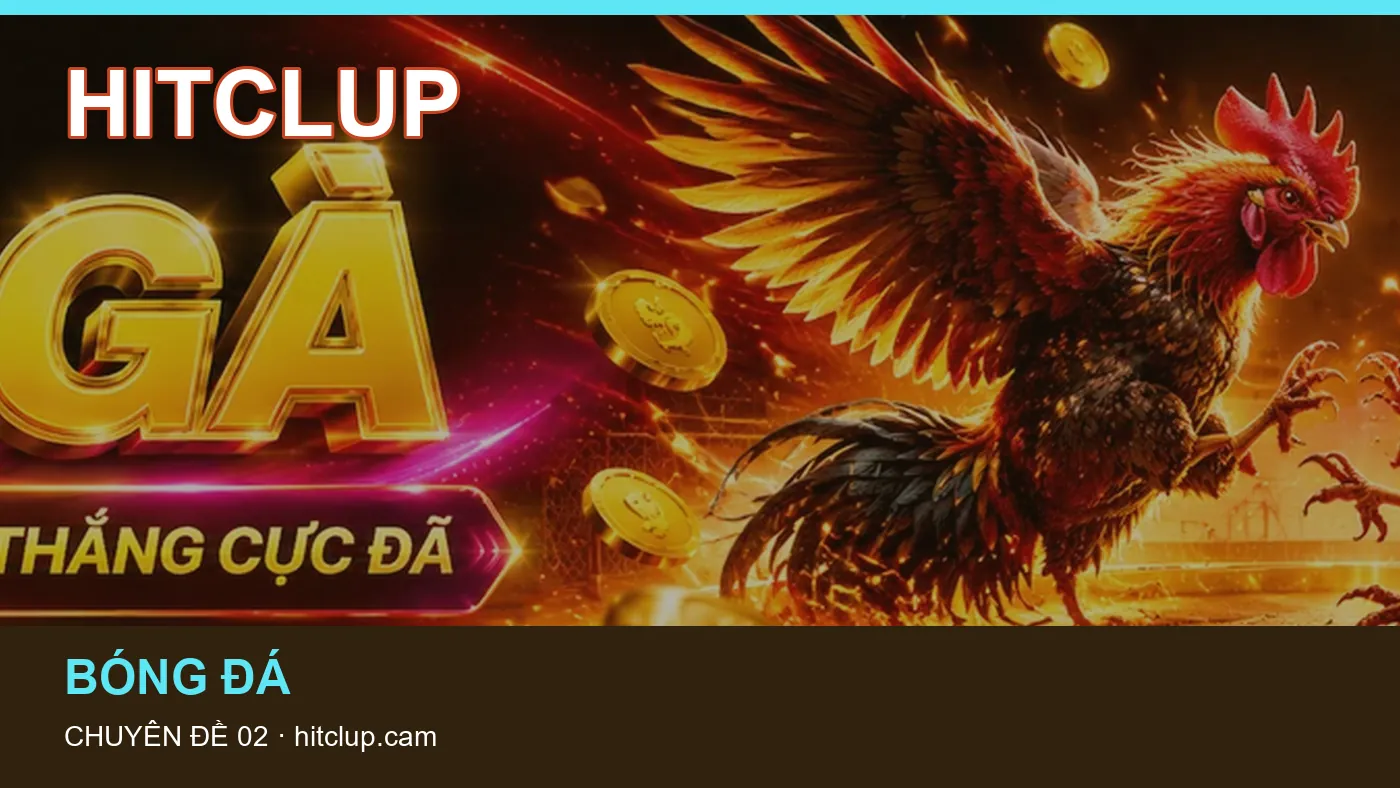 Bảo vệ dữ liệu cá nhân khi tìm hiểu Thể thao tại HITCLUP