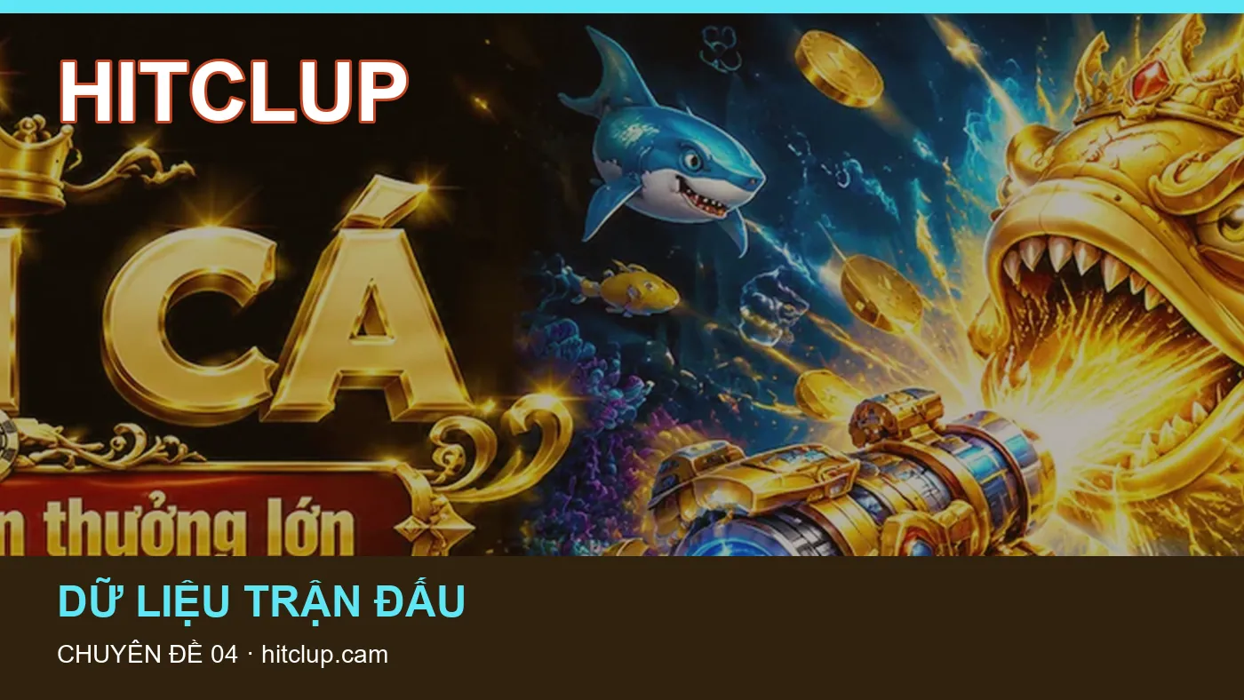 Hỏi đáp: những thuật ngữ cần hiểu khi tra cứu HITCLUP
